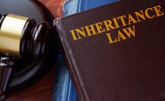Why the Male-bias in Inheritance Laws?