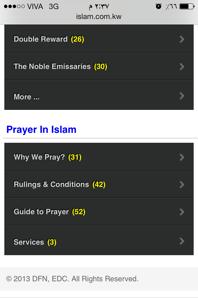 Browsing by mobile: Islam Beyond Borders 2