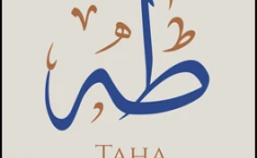 What is the meaning of TaHa?