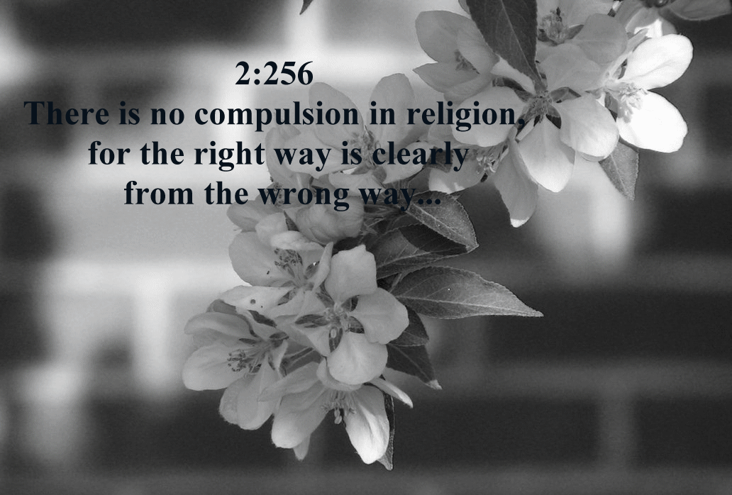 Compassion in the Qur’an