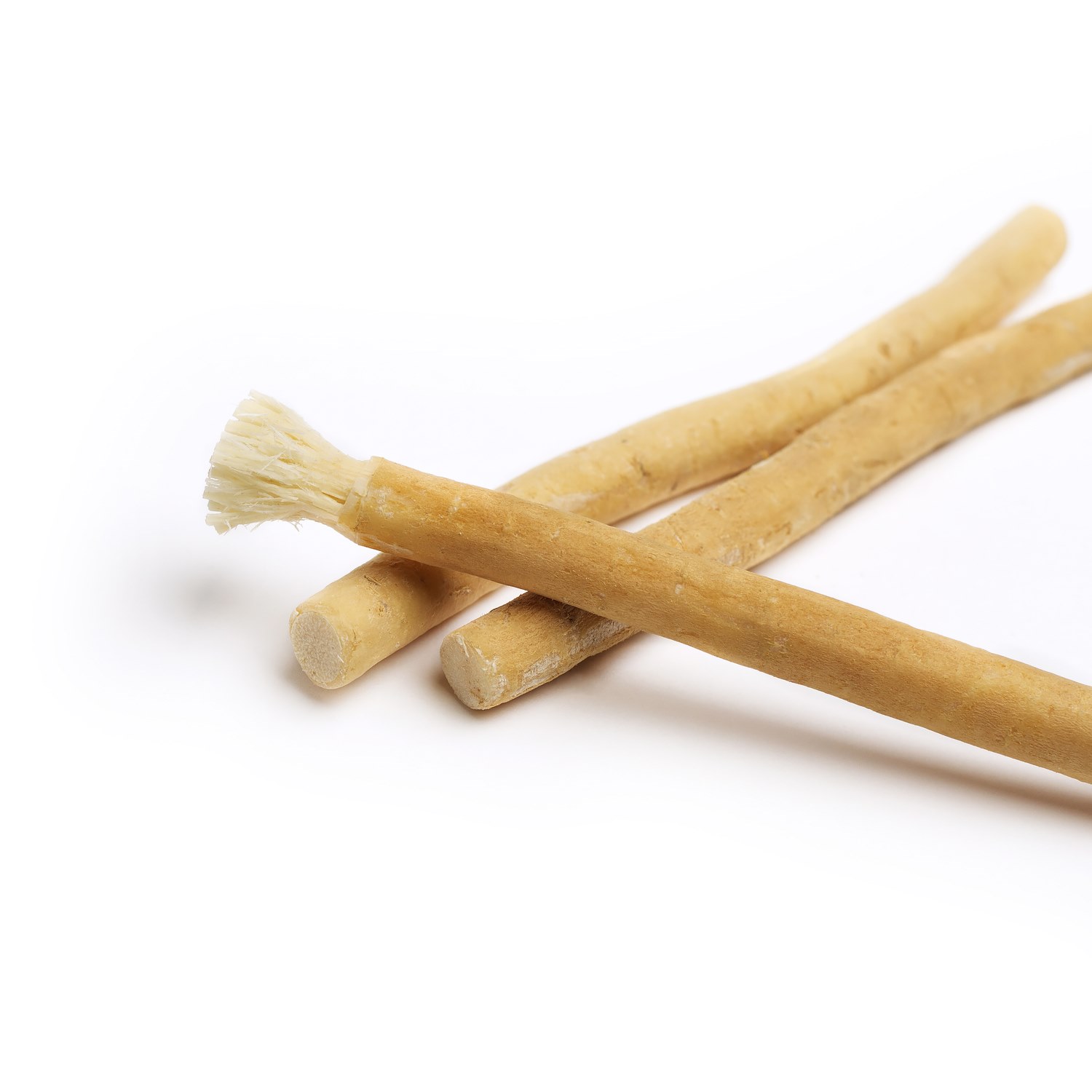 Miswak The Natural Toothbrush